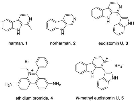 beta carbolines|β.